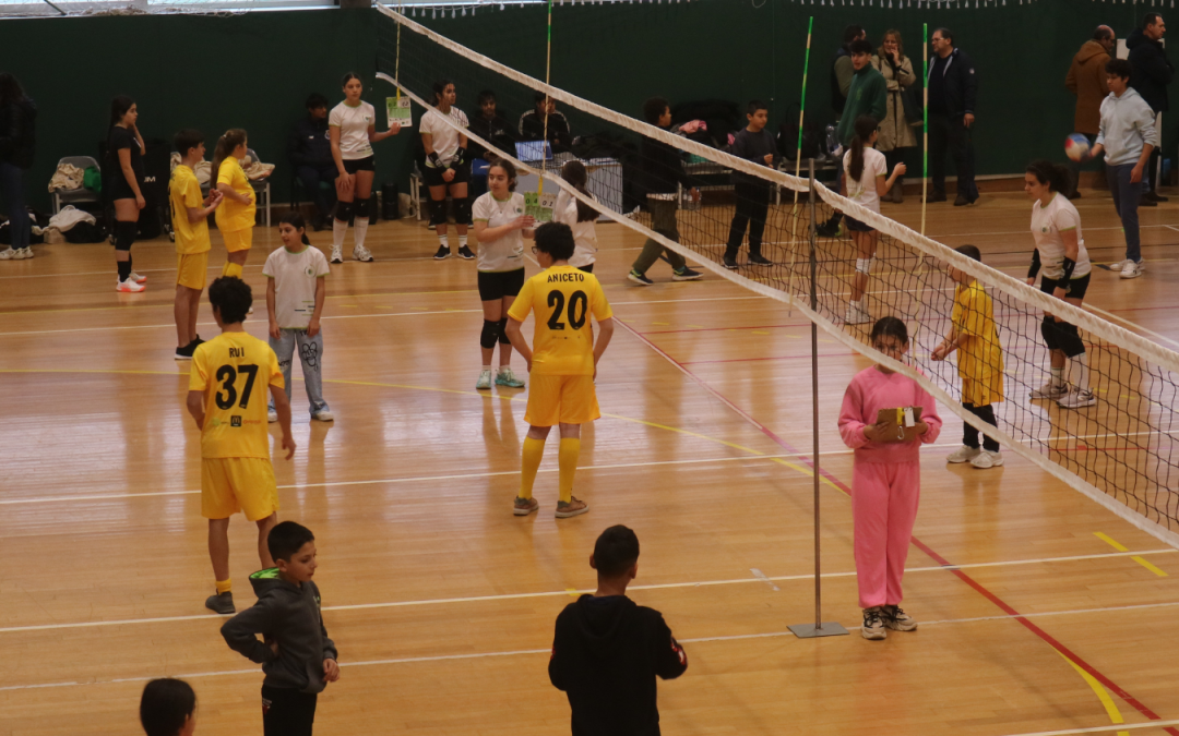 Convívio de Voleibol